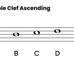 Clef bass descending basicmusictheory