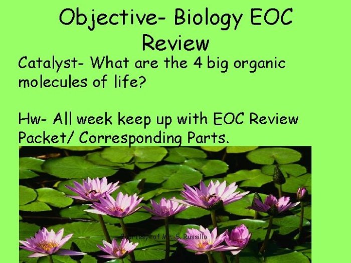 Biology review packet for eoc