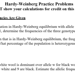 Hardy weinberg practice problems answers