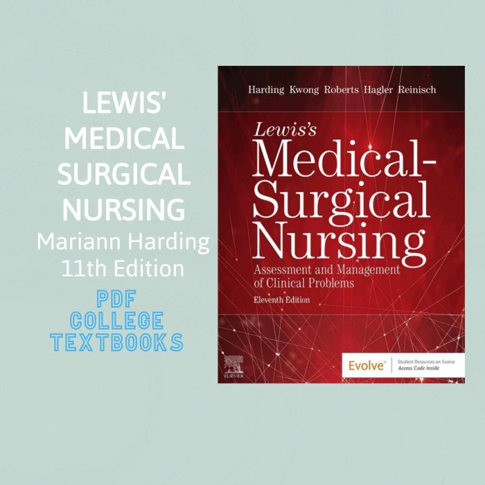 Lewis medical surgical nursing 11th edition test bank pdf