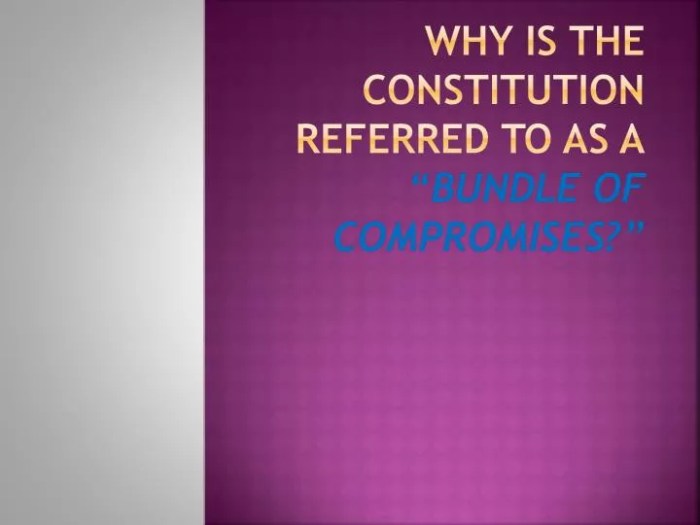 The constitution a bundle of compromises answers